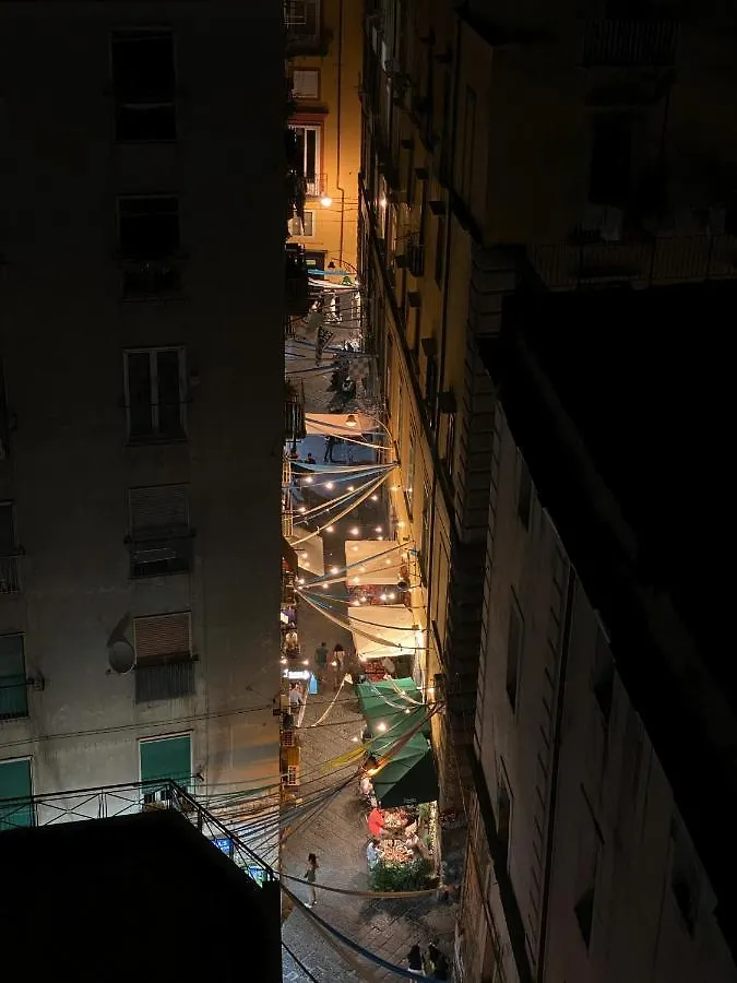 Terrazza Panorama Centro Storico Daire Napoli